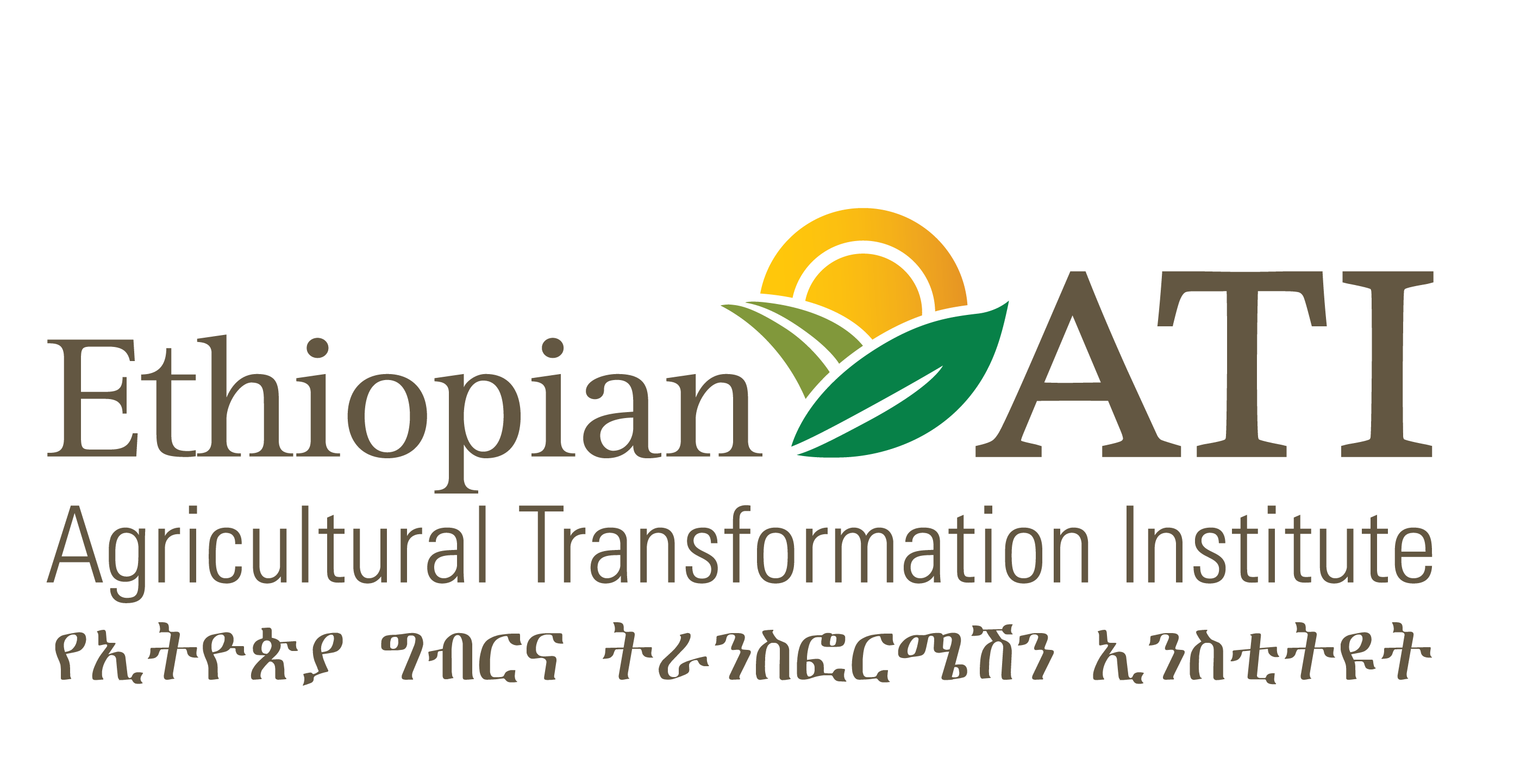 Ethiopian ATI logo